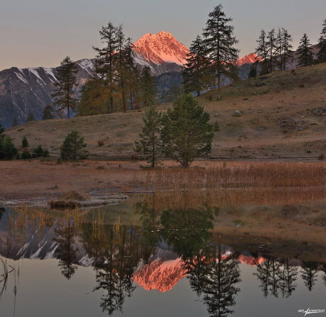 swiss, Матвеев Николай