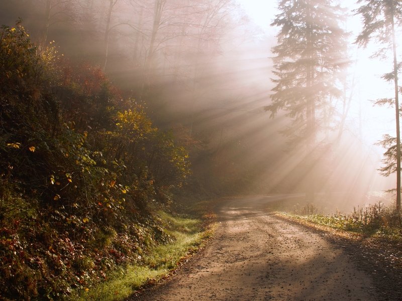 Droga фото превью