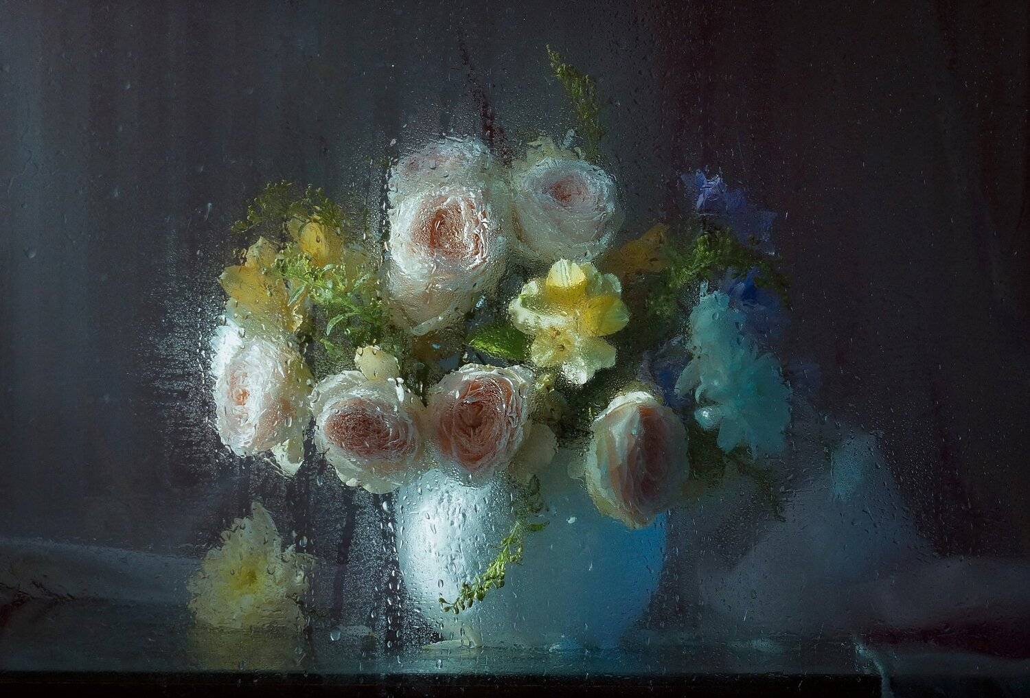 , Светлана Сушкевич