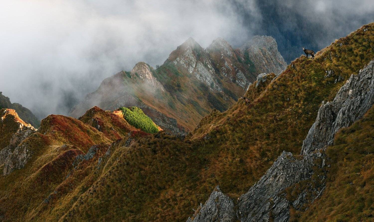 , Szabo Zsolt Andras