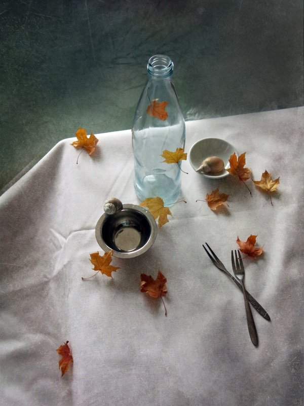 С кленовыми листьями фото превью