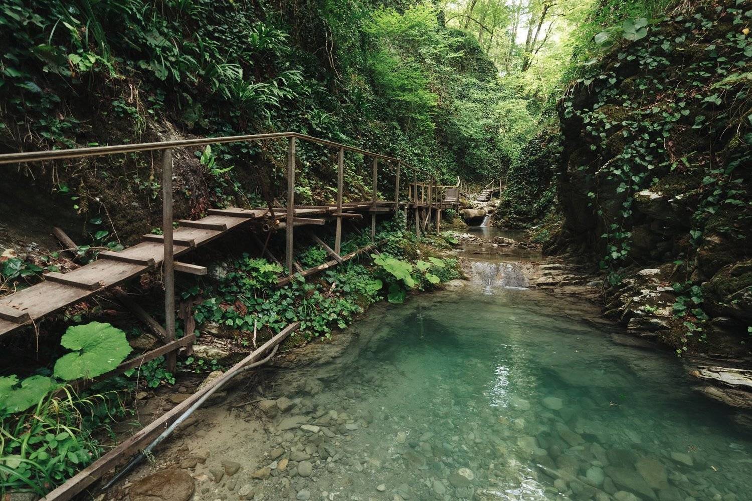 , Элина Хван