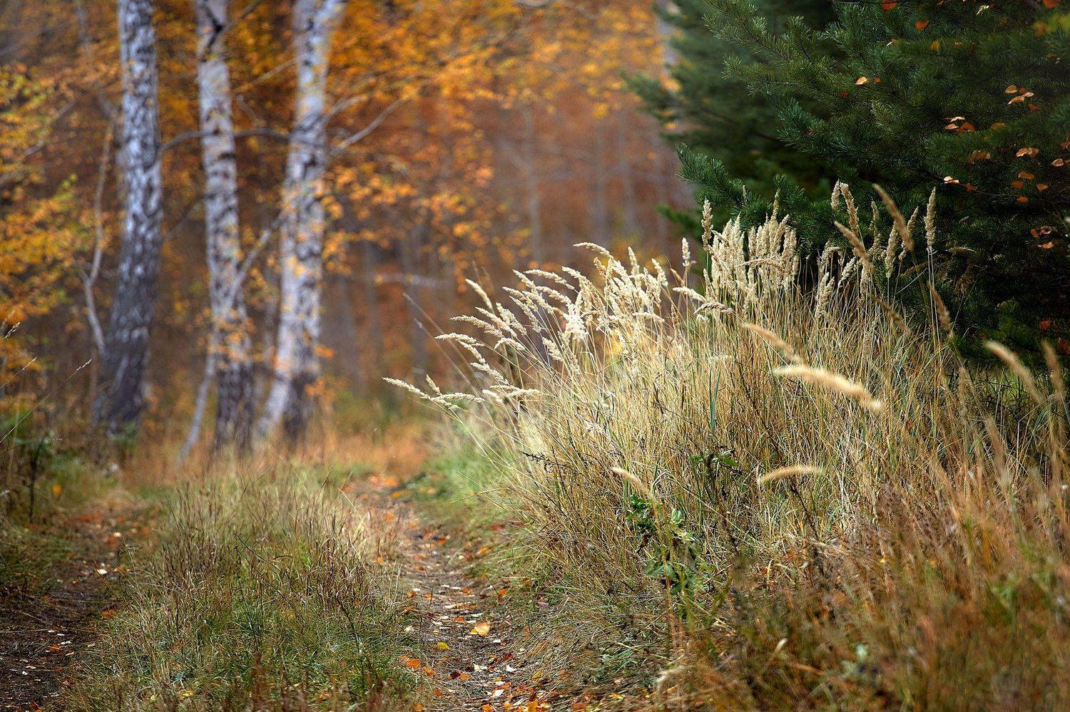 башкирия, южный урал орск новотроицк, Качурин Алексей