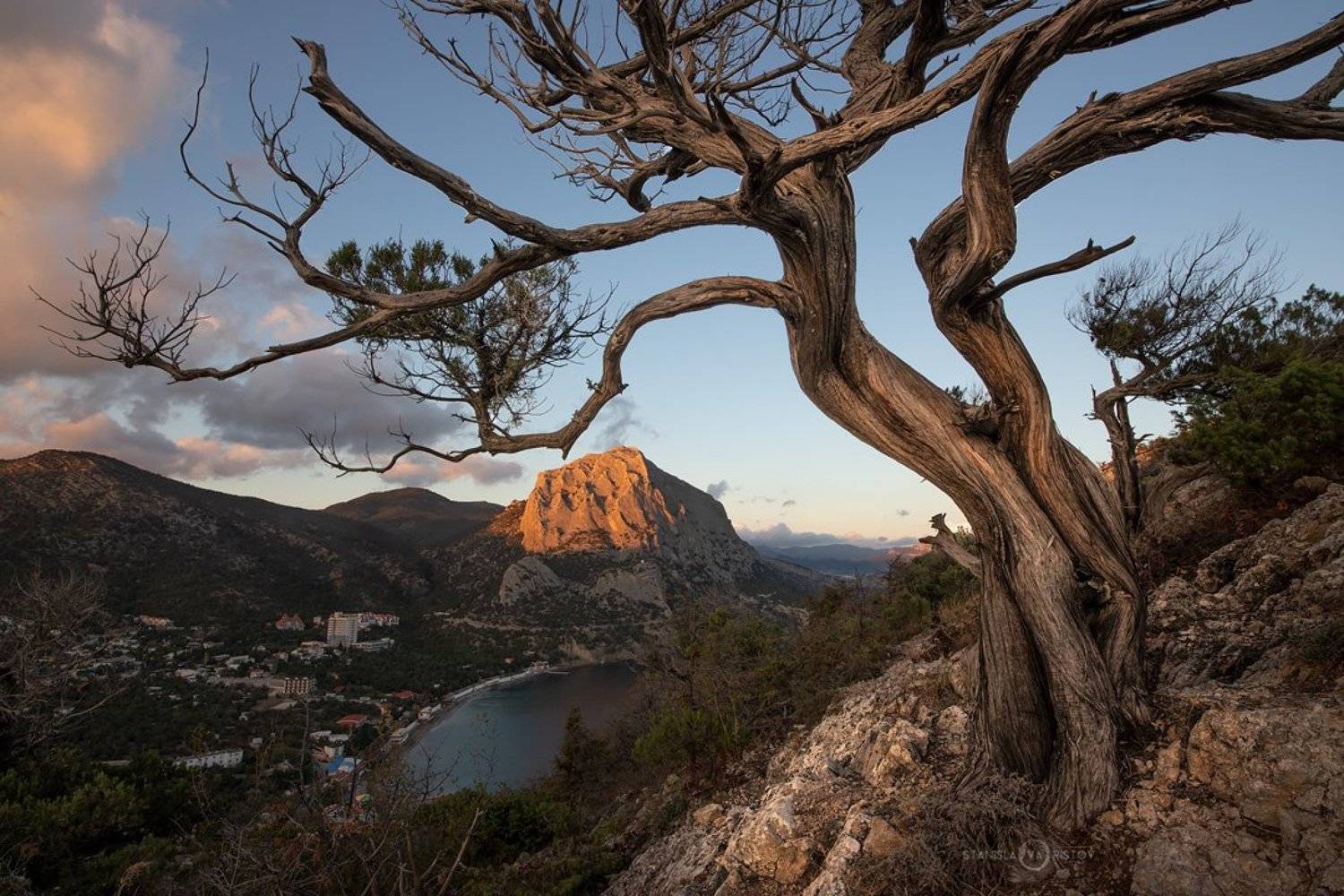 , Станислав Аристов