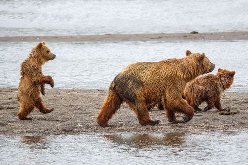 Пойдем гулять!!!