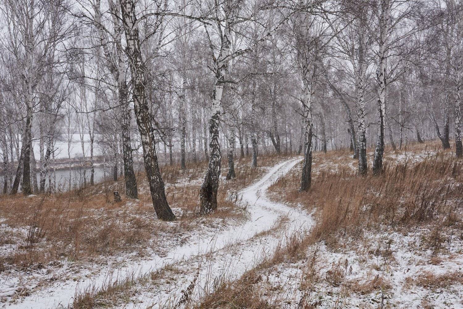 , Сергей Романчук