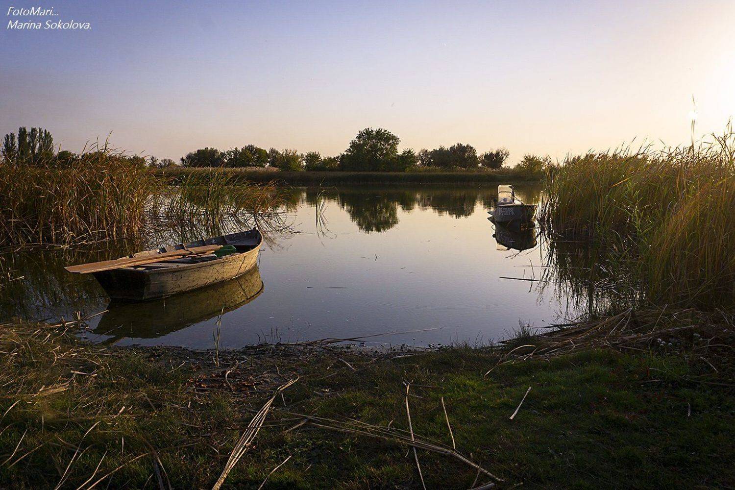 , Марина Соколова