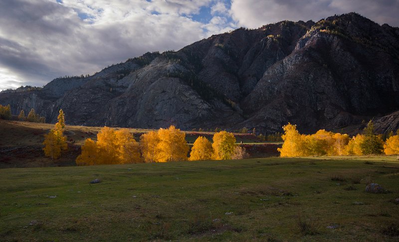 В осеннем золоте фото превью