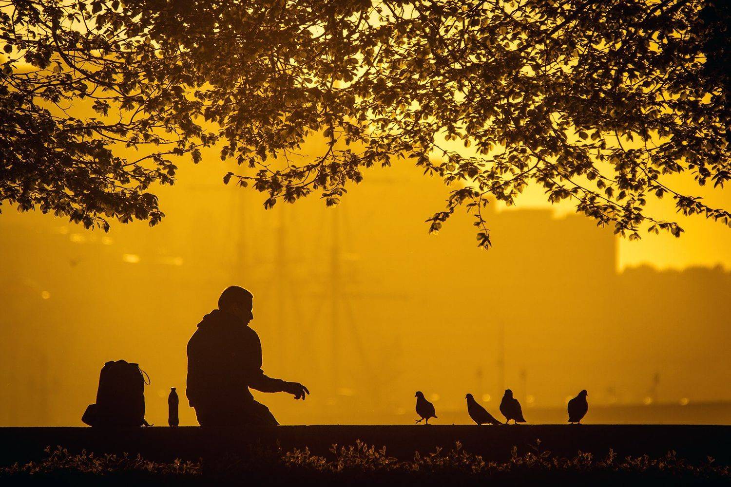 Санкт-Петербург, Андрей Костромин