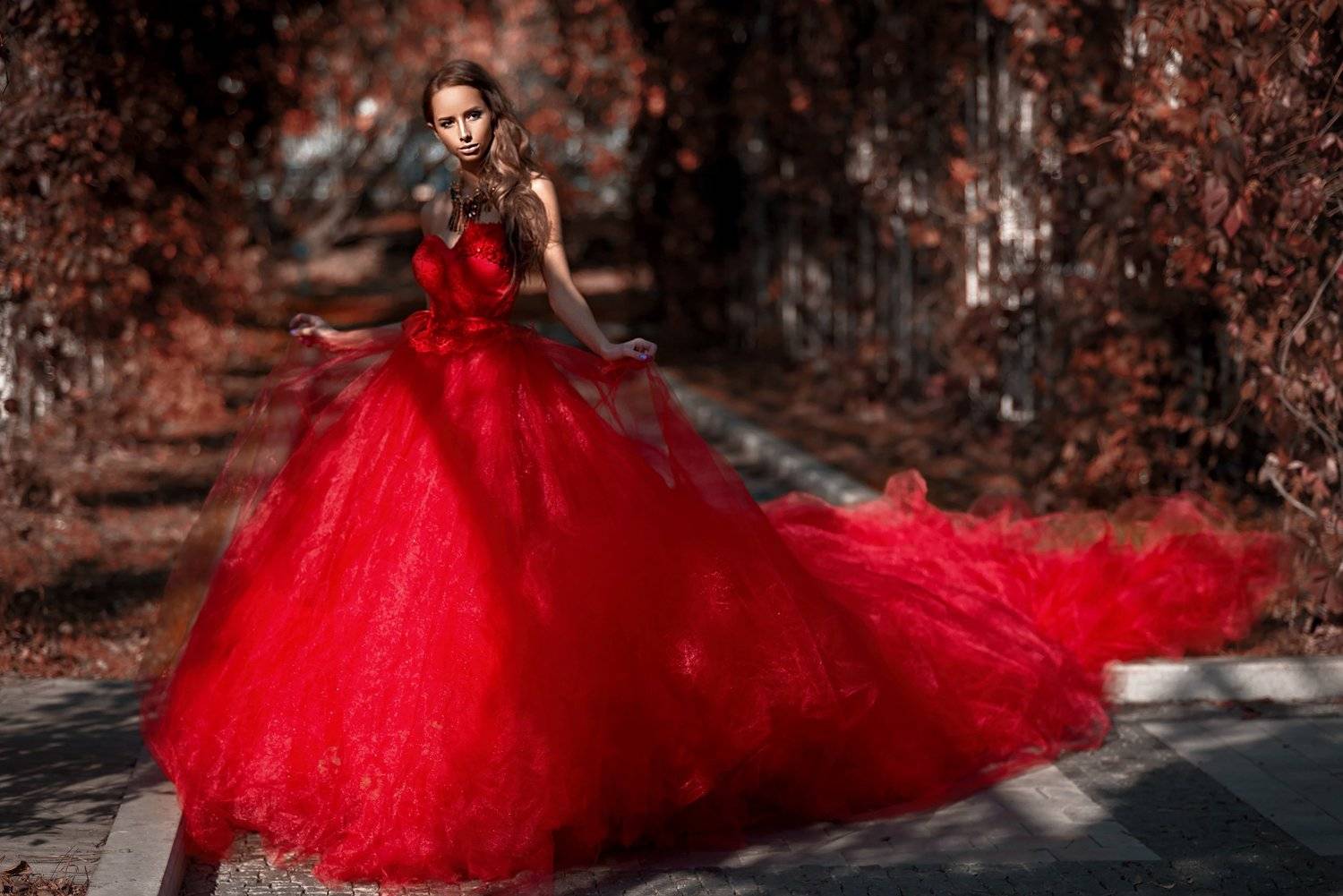 силуэт, грация, свет, тень, красный, чувственность, соблазн, платье, Сергей Прозвицкий