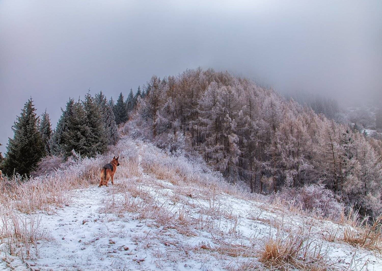 кыргызстан, горы, Элина Магалимова