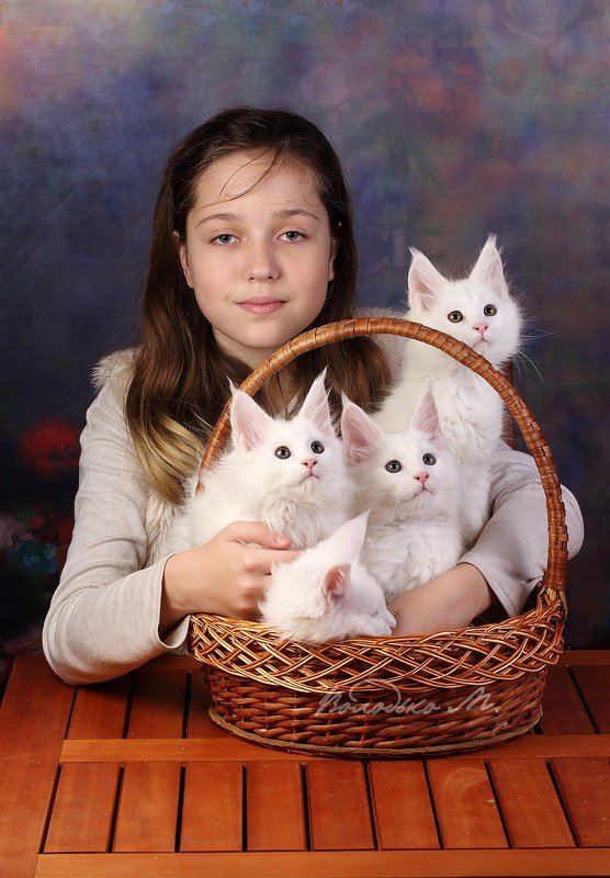 Пушистики фото превью