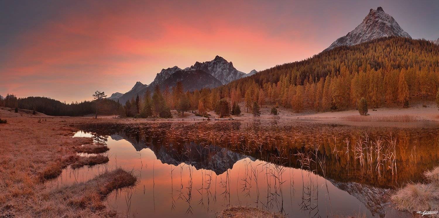 swiss, Матвеев Николай
