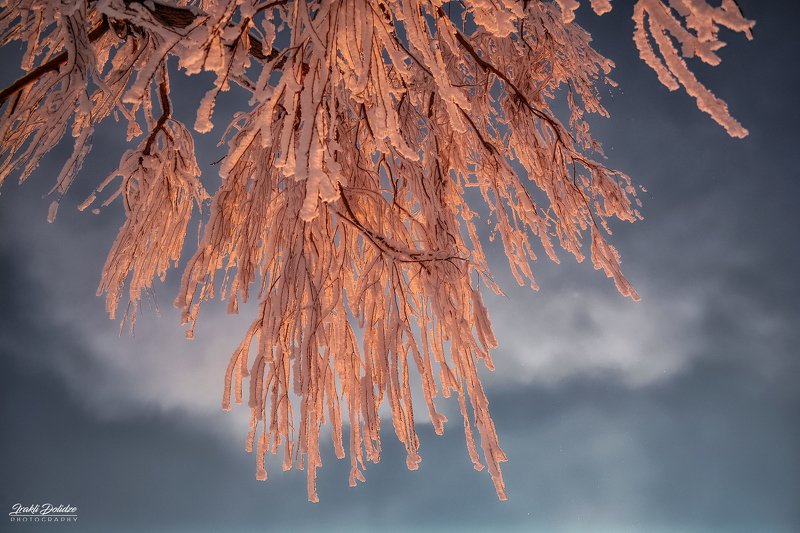 snow, sun, tree, white, winter, photography, outdoor, traveling  фото превью