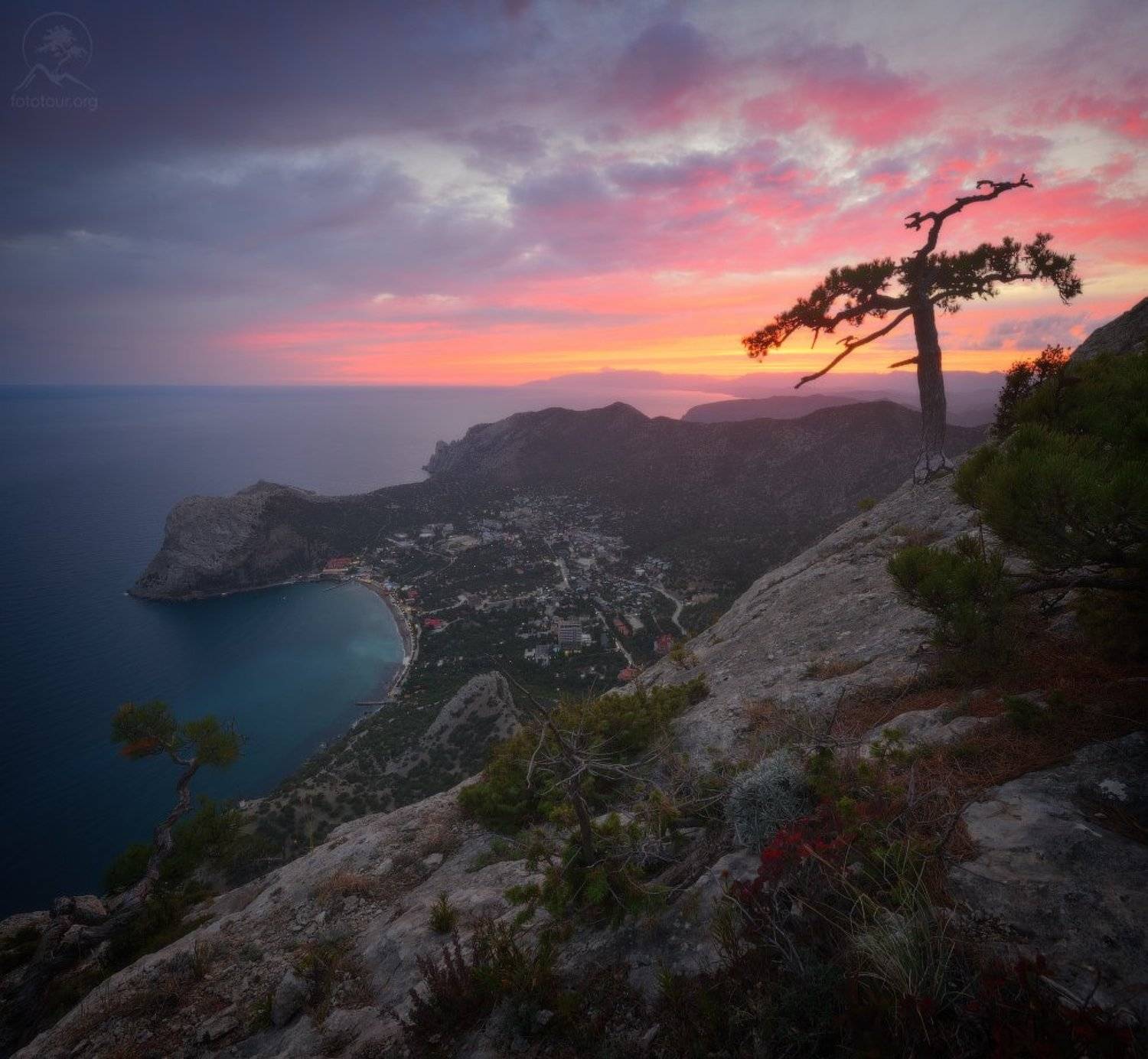 крым, горы, море, дерево, Анатолий Гордиенко