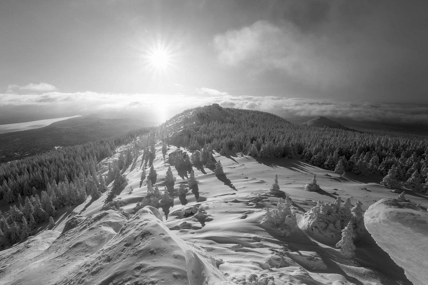 , Андрей Шарапов