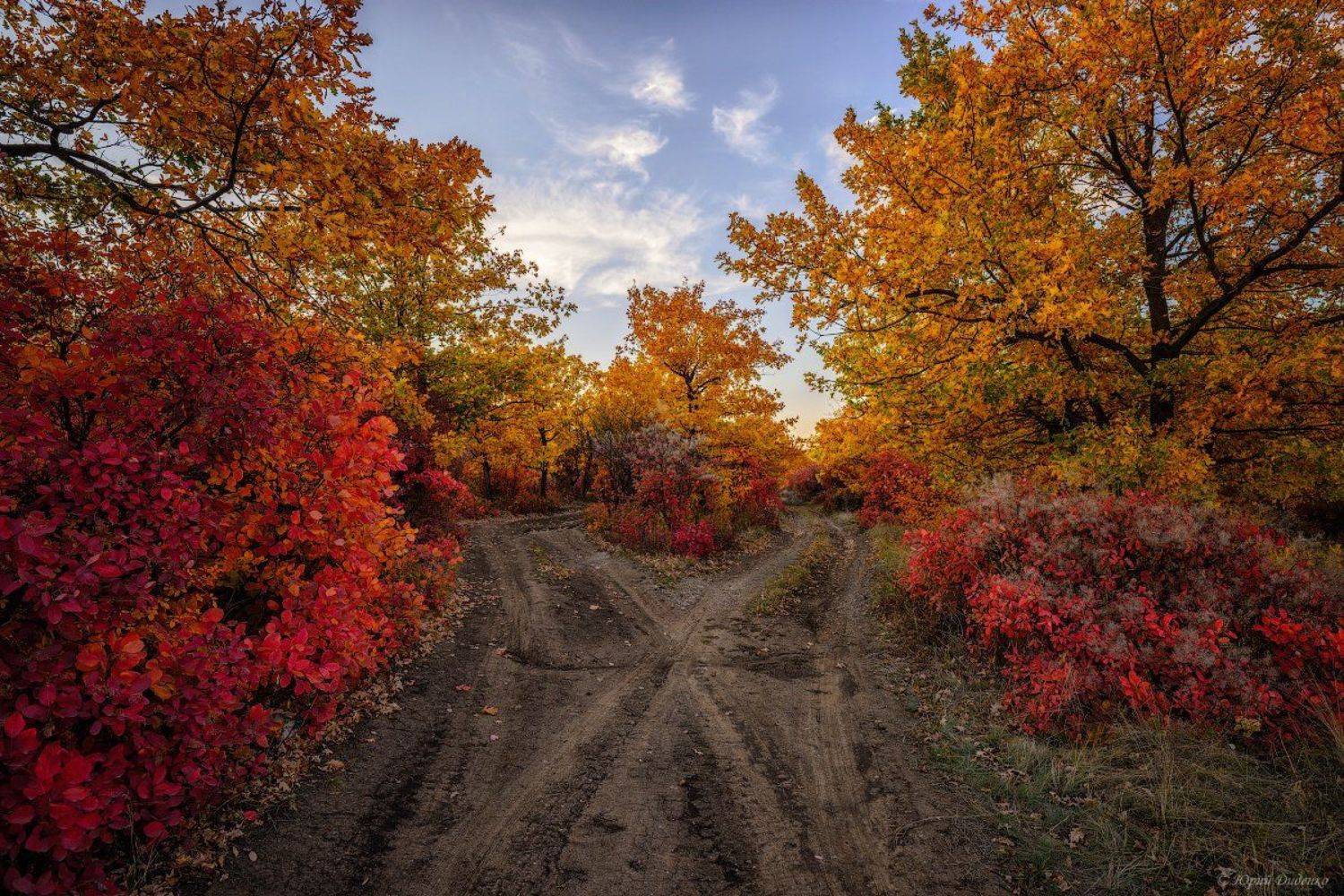 осень, листва, осенние краски, дорога, деревья, облака, природа, небо, пейзаж, Юрий Диденко