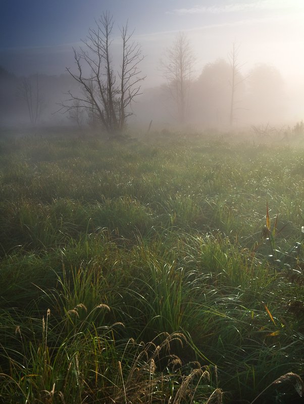 morning light... фото превью