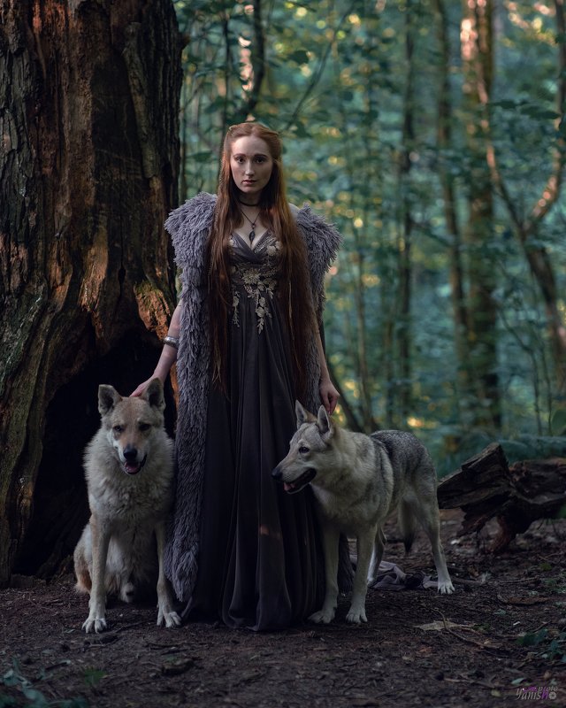 фото превью