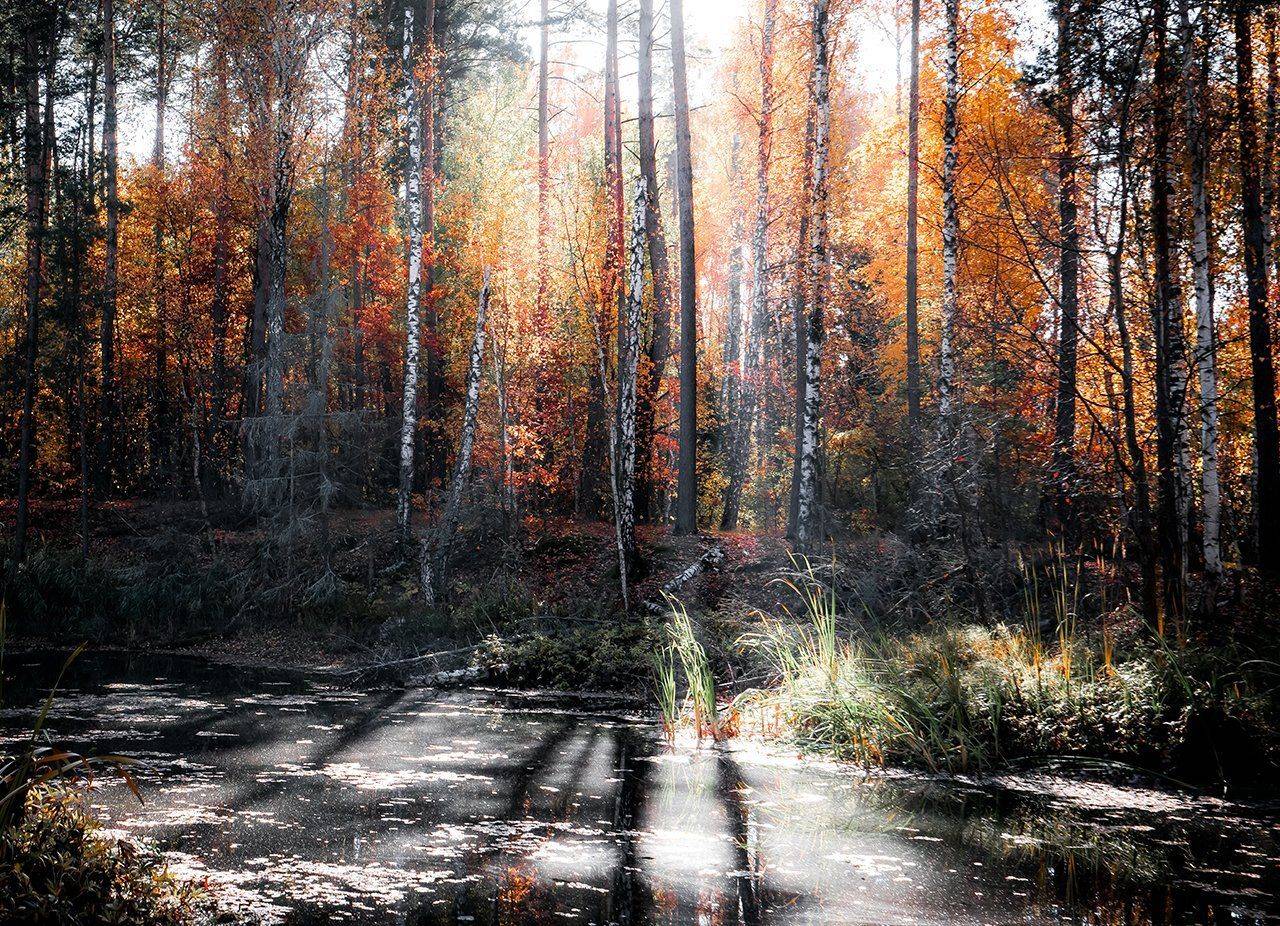 , Игорь Кляхин