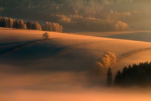 A Kiss of The Light