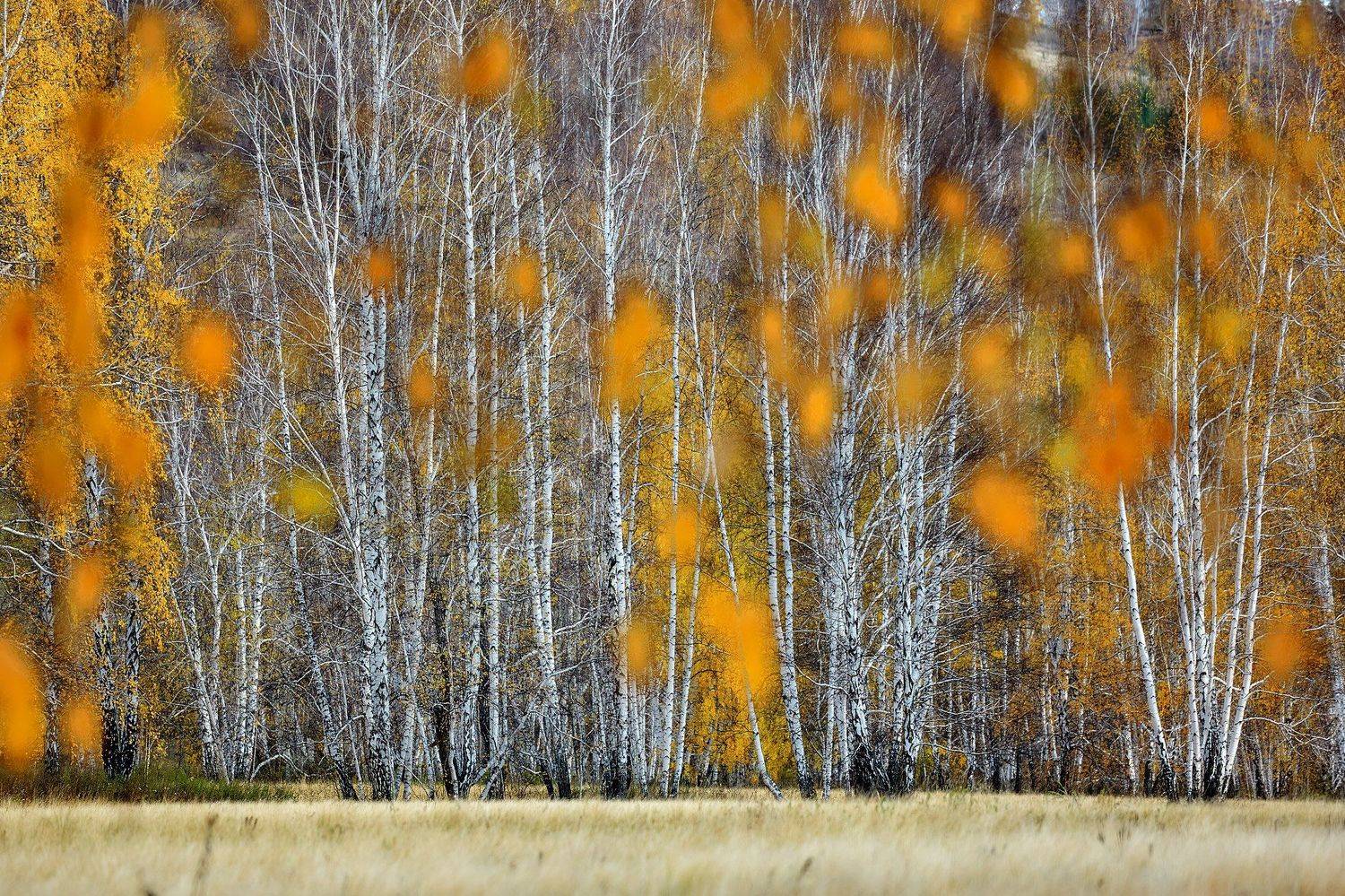 башкирия, южный урал орск новотроицк, Качурин Алексей