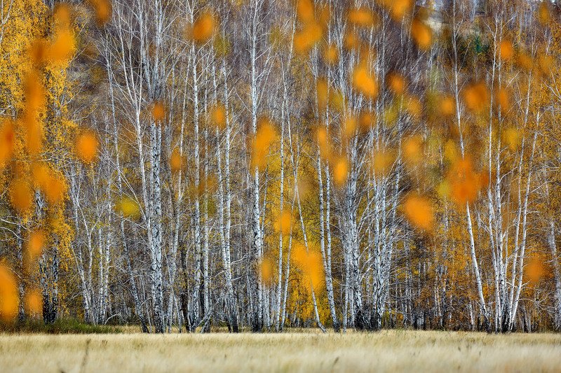 башкирия, южный урал орск новотроицк Осенняя фото превью