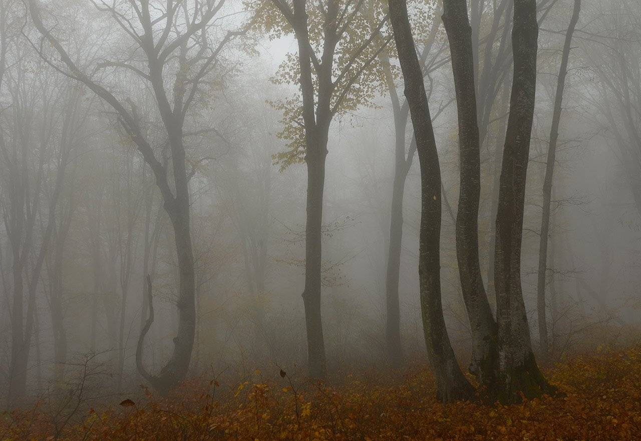 осень, кабардино-балкария, Хасан Журтов