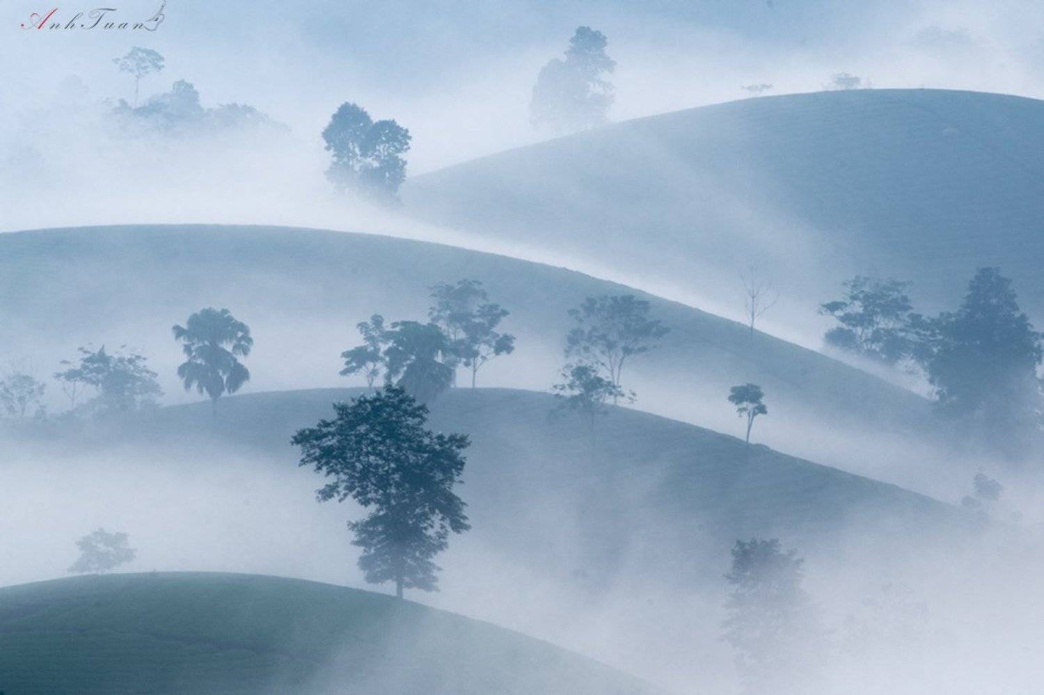 #sellingphoto #landscape, Tuan Guitare