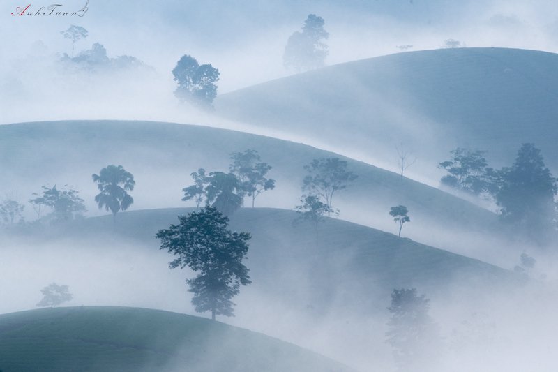 #sellingphoto #landscape Good morning фото превью