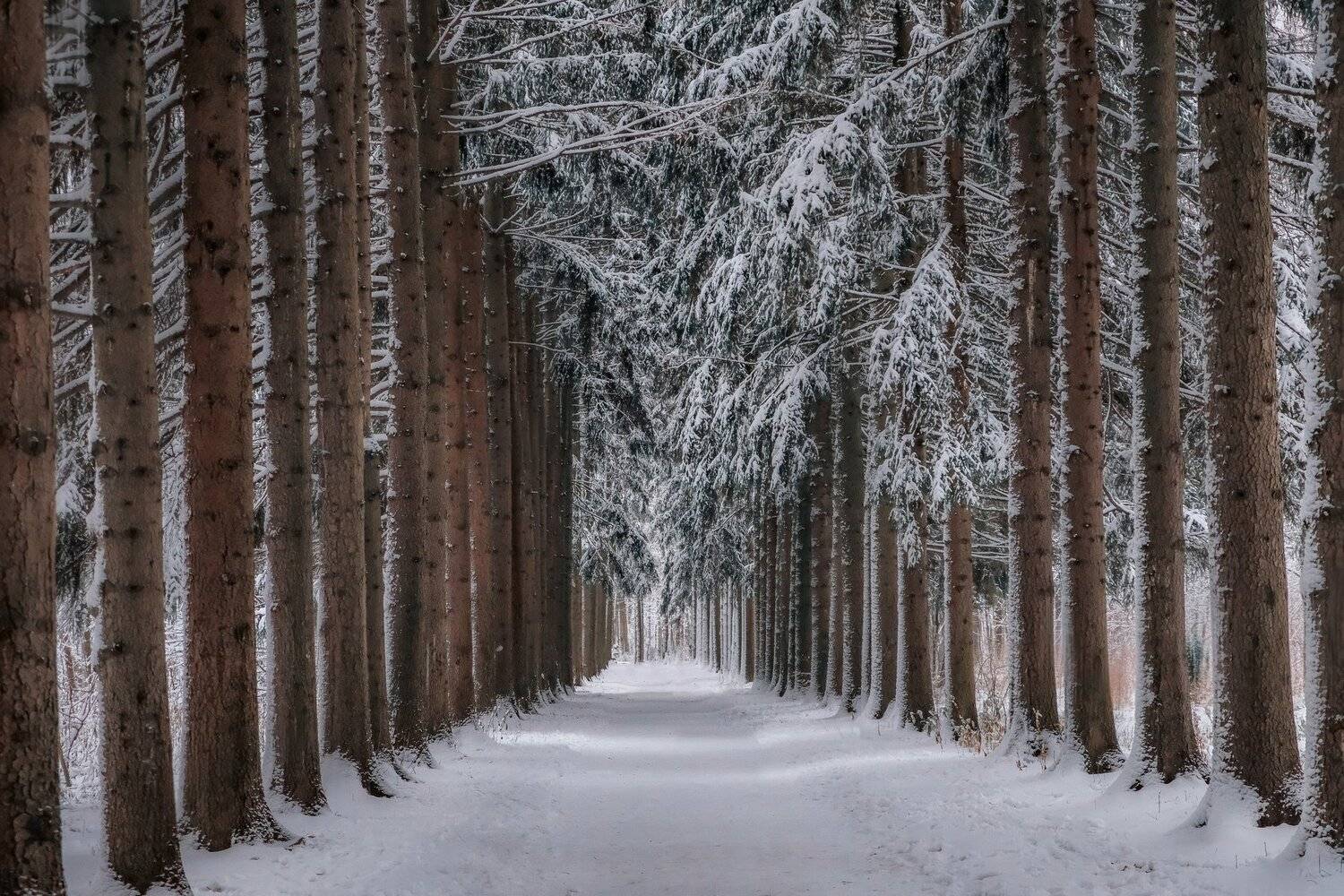 , Екатерина