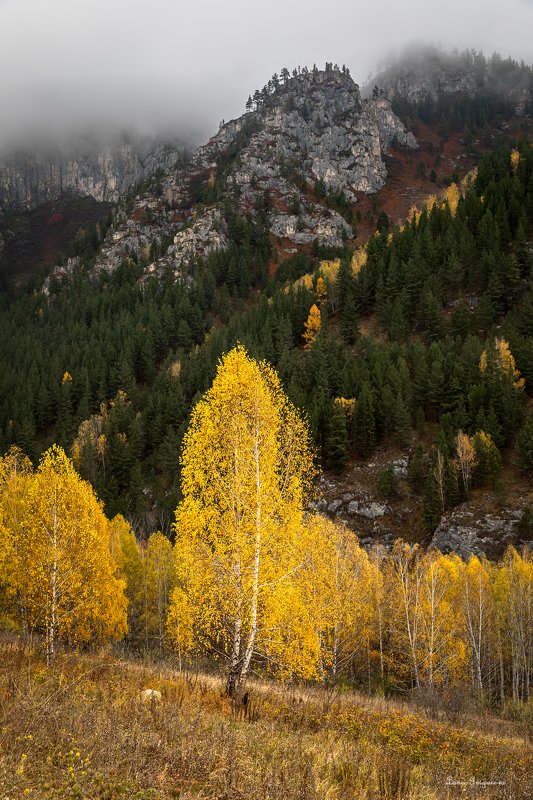 Заколдованная принцесса и Дракон\