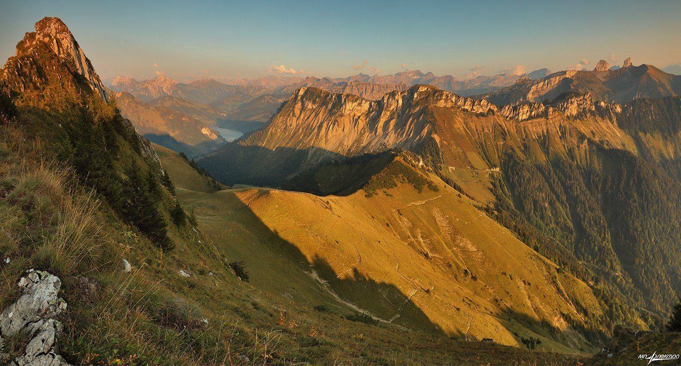 swiss, Матвеев Николай