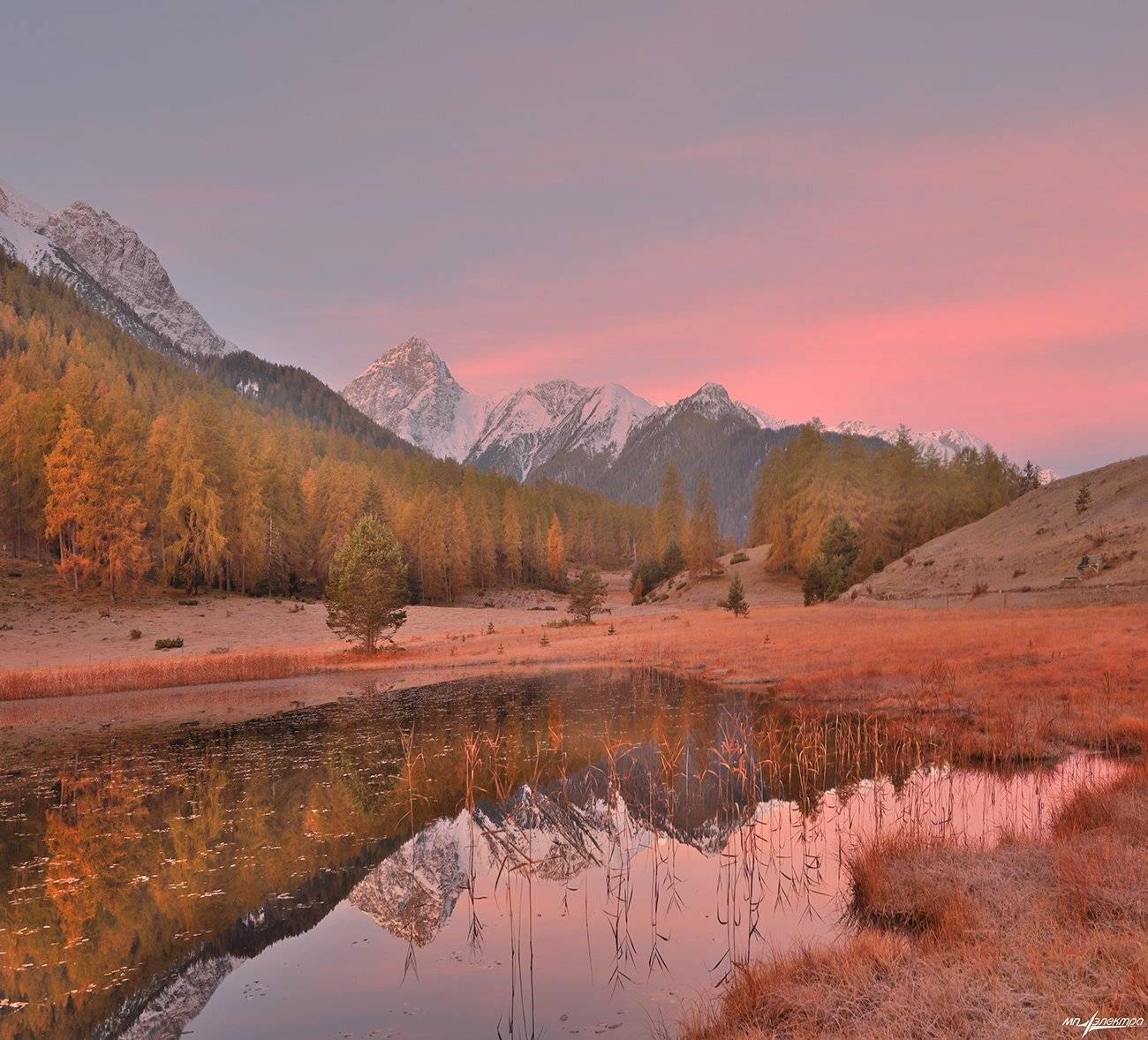 swiss, Матвеев Николай