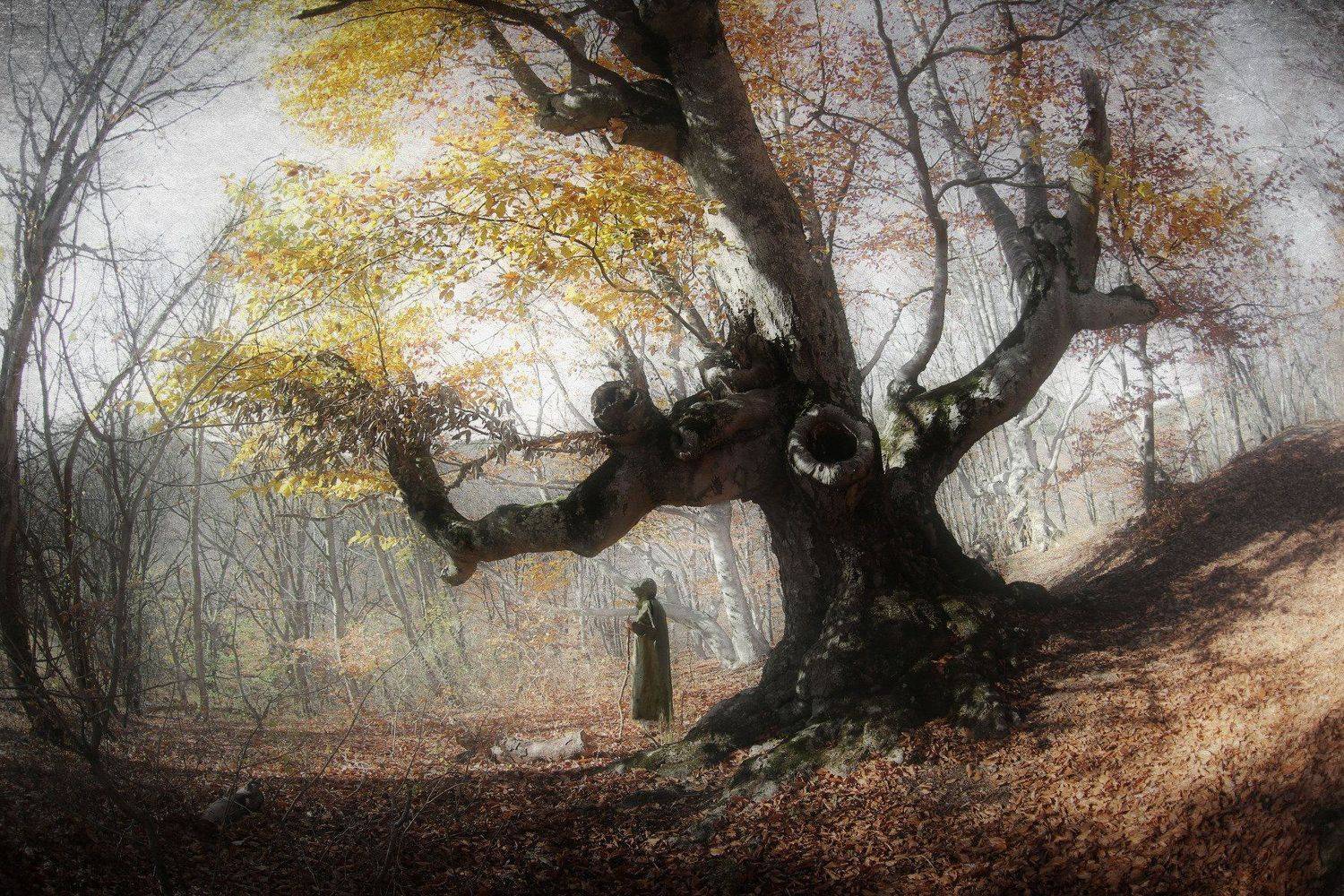 , Ирина Гайворонская