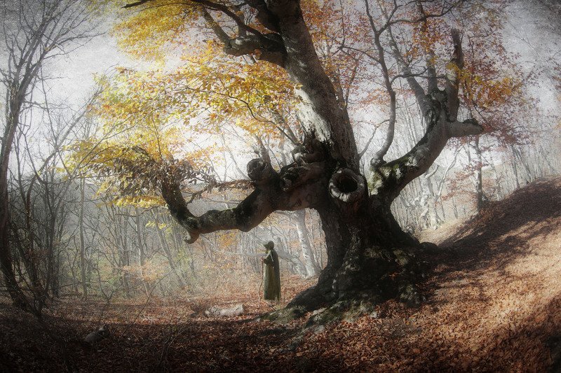 Сказки Демерджи  фото превью