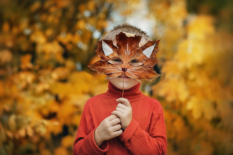клен, кленовый лист, маска, поделка, портрет, осень, октябрь, осенний, улыбка, мальчик, оранжевый, желтый, лиса, засохший, лист,  Зверомордочка. фото превью