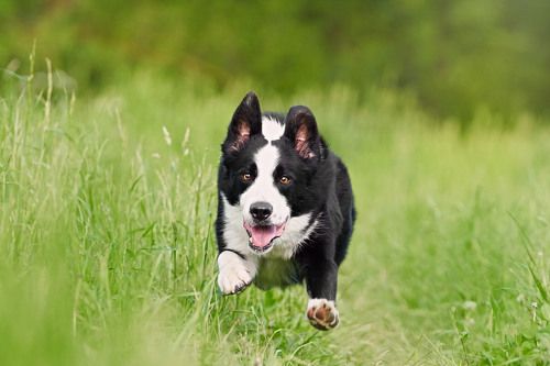 Jump!