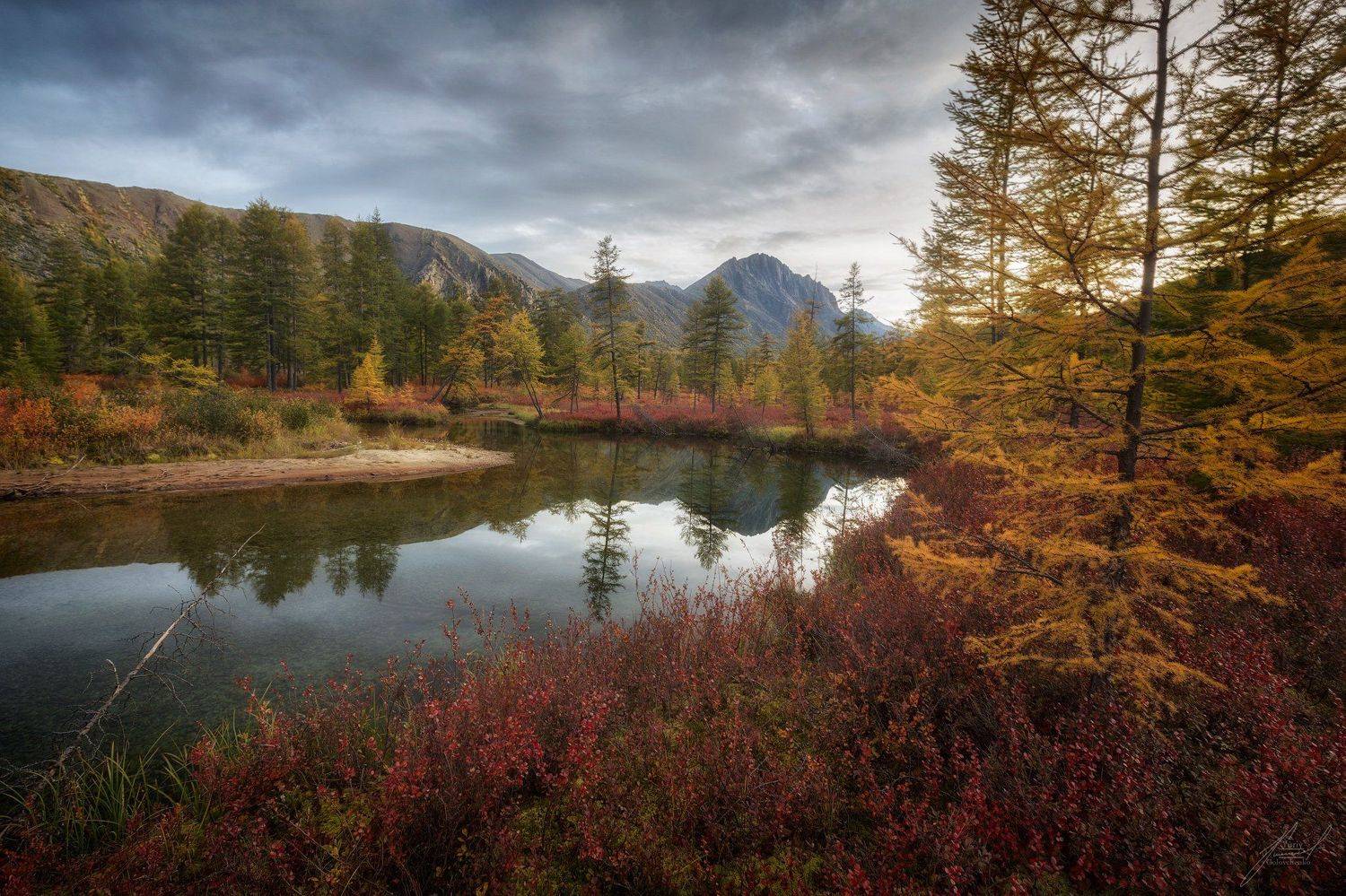, Юрий Головченко