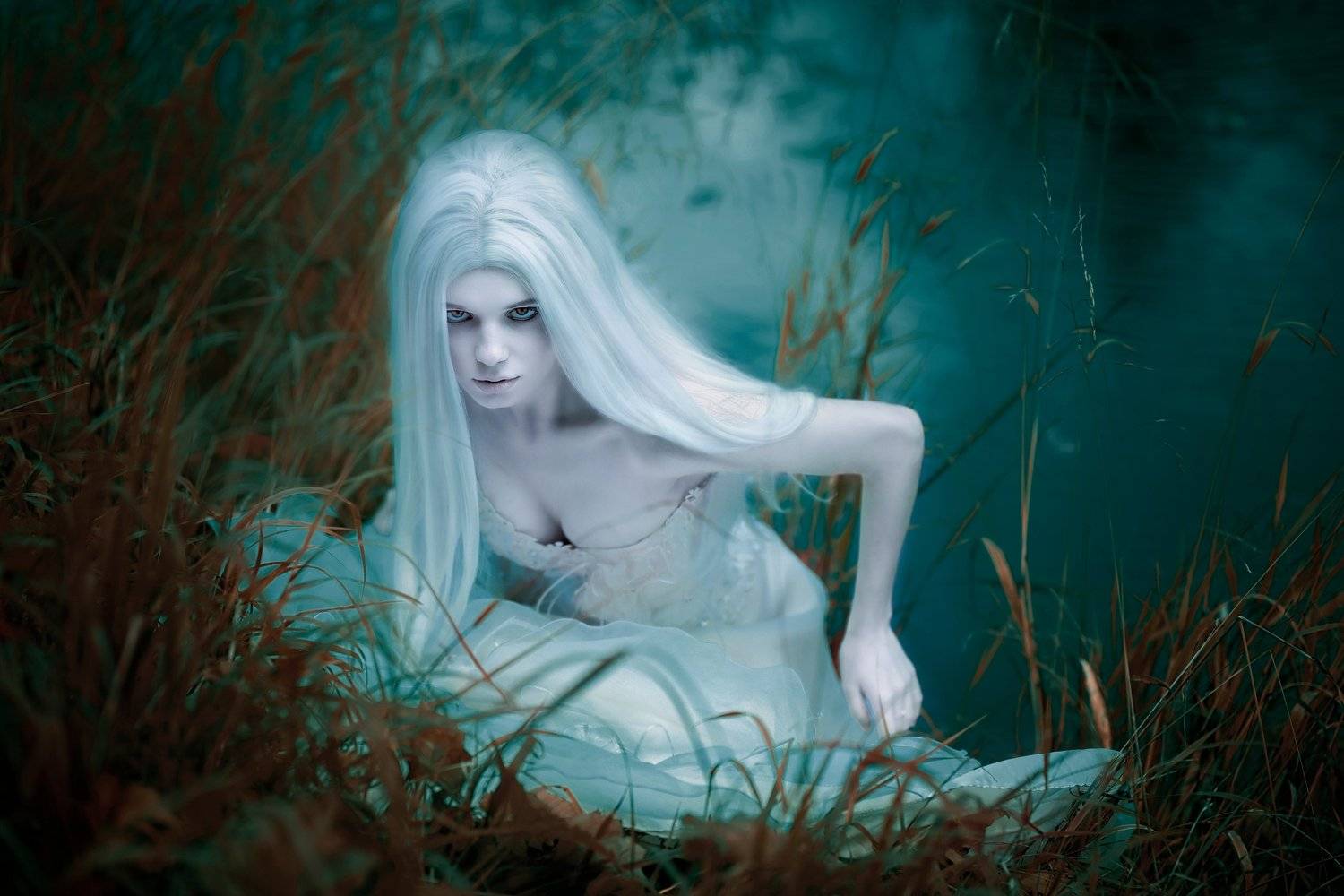 артфото, фотографмосква, кикимора, художественнаяфотография, нечисть, призрак, Evgeniya Fedorova