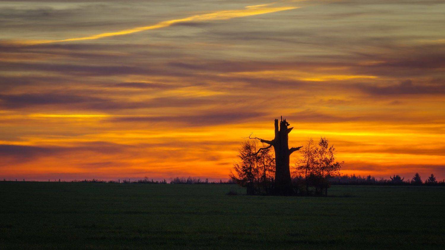 , Maciej Werbliński