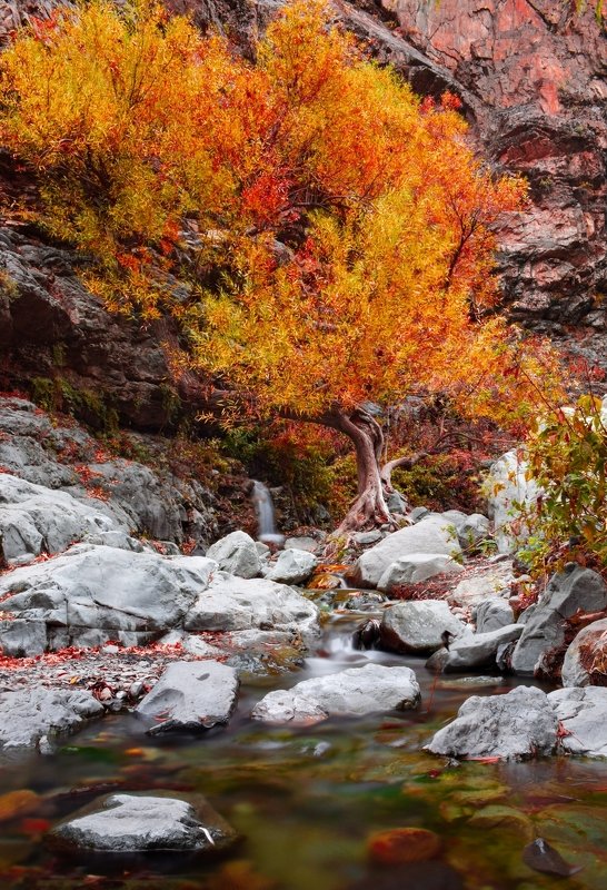 Fall фото превью