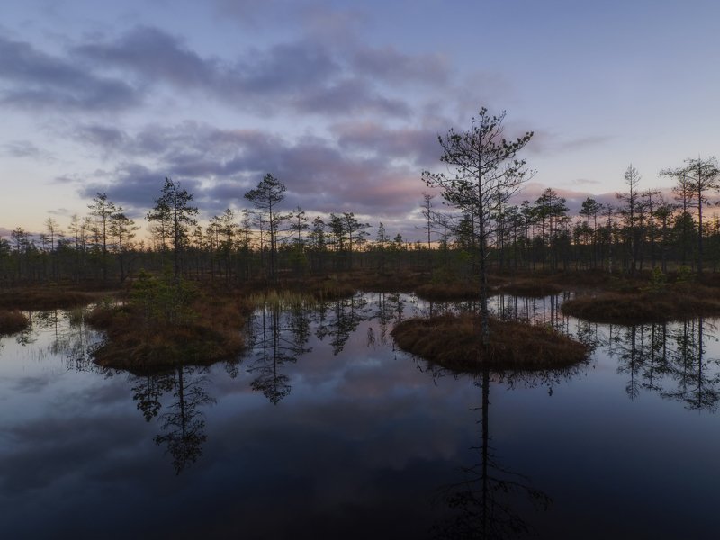 закат на болоте фото превью