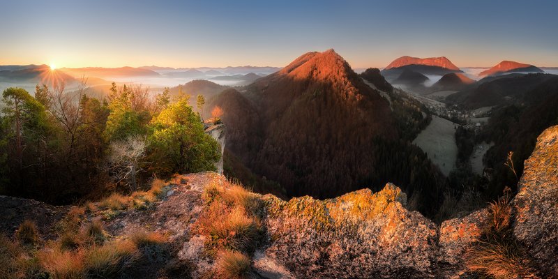 Touch of light фото превью