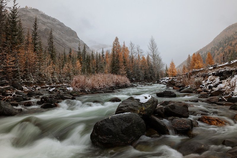 _ фото превью