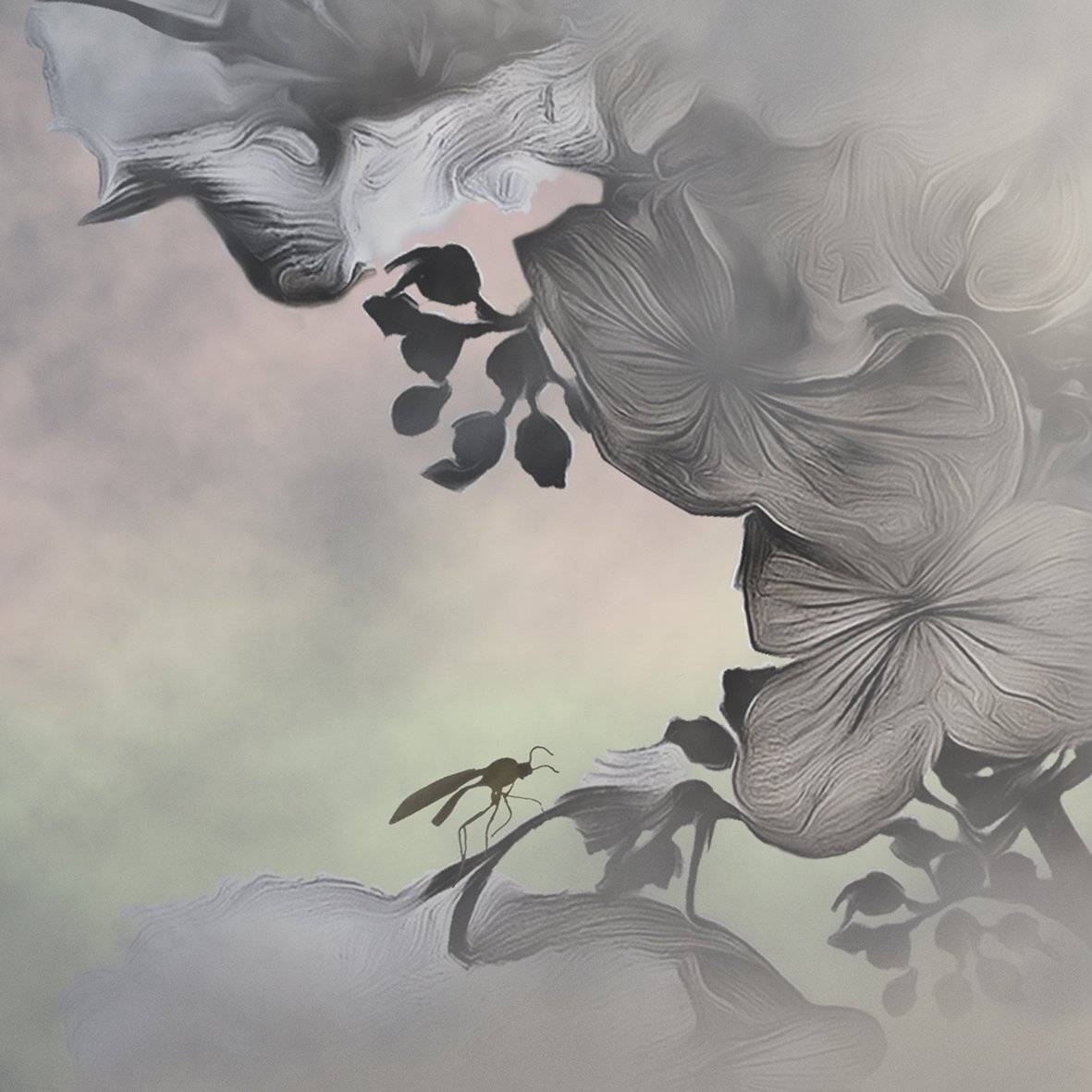, T. Bondarenko