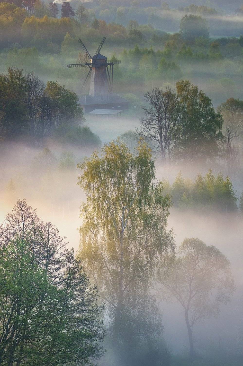 Истра, Подмосковье, весна, Александр Стрельчук
