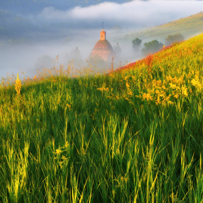 #трава, #солнце, #храм, #свет, #лето, #туман Заливаясь солнцем фото превью