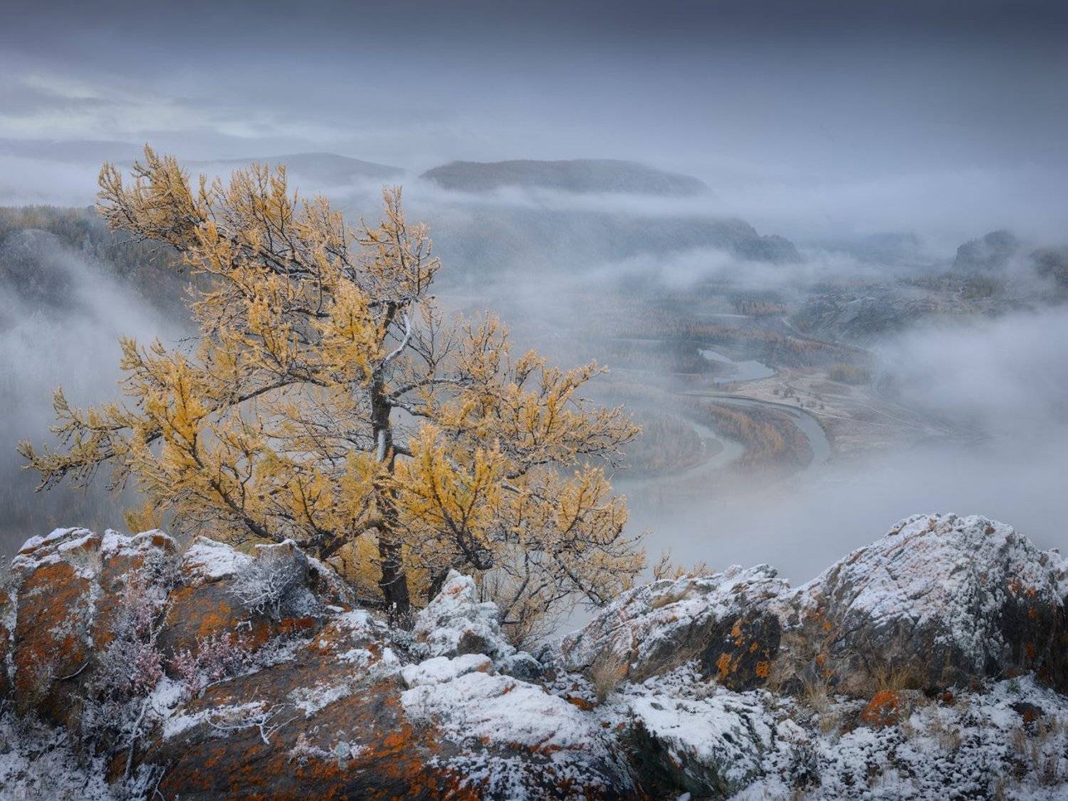 алтай, курай, туман, снег, Дмитрий Медянцев