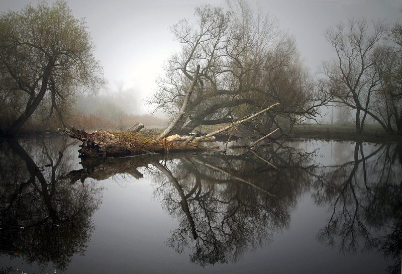 ... фото превью